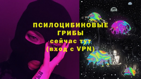 гидра Пестово