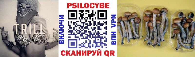 Псилоцибиновые грибы Magic Shrooms  хочу наркоту  omg зеркало  Истра 