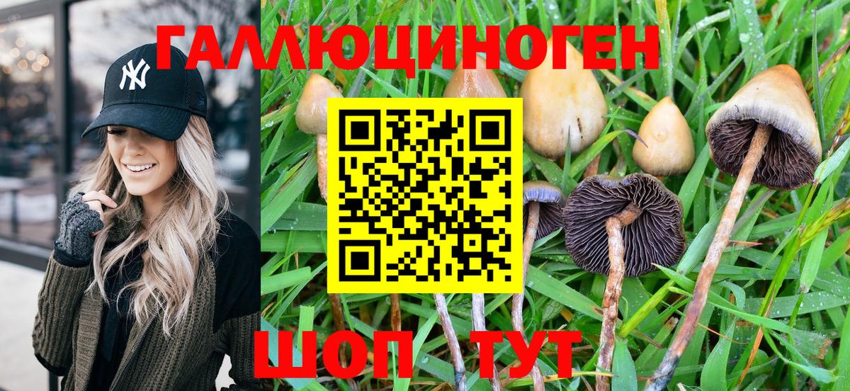 Псилоцибиновые грибы ЛСД Истра