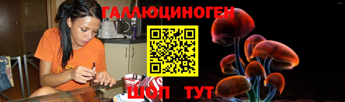 Истра  Псилоцибиновые грибы ЛСД  Галлюциногенные грибы Cubensis  Вход с VPN 